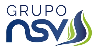 Grupo NSV